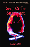 Spirit of the Straightedge-by Babs Lakey cover